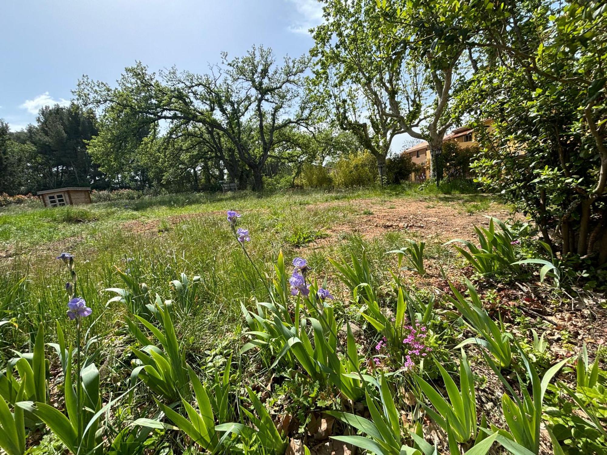 Havre De Paix Au Sein D'Un T3 D'Une Bastide Aixoise Aix-en-Provence Zewnętrze zdjęcie